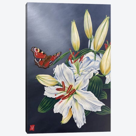 White Lilly And Butterfly II Canvas Print #VGL43} by Valerie Glasson Canvas Wall Art