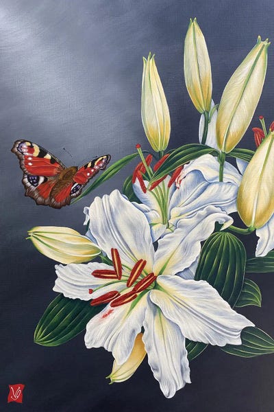 Butterflies and Flowers: White Lilly And Butterfly II by Valerie Glasson