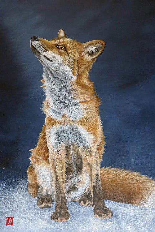 Young Fox