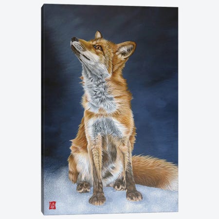 Young Fox Canvas Print #VGL45} by Valerie Glasson Art Print