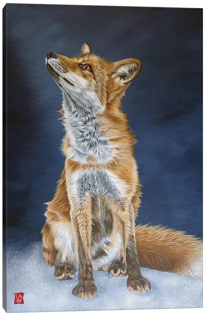Young Fox Canvas Art Print - Valerie Glasson
