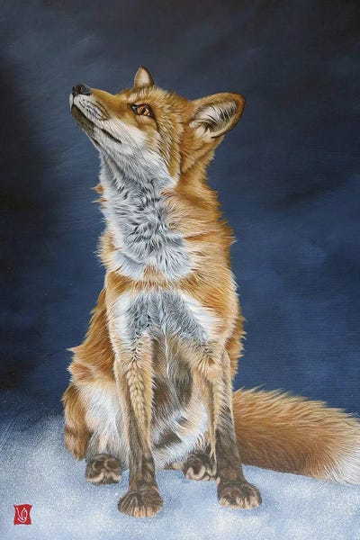 Foxes: Young Fox by Valerie Glasson