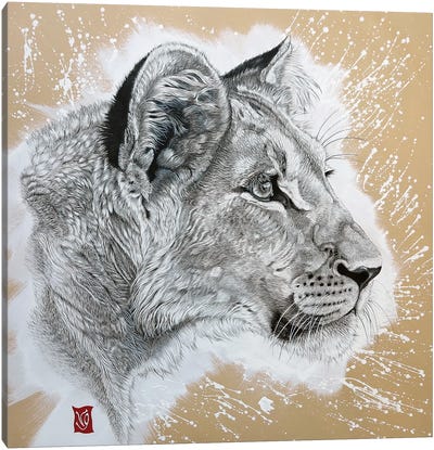 Young Lion Canvas Art Print - Valerie Glasson