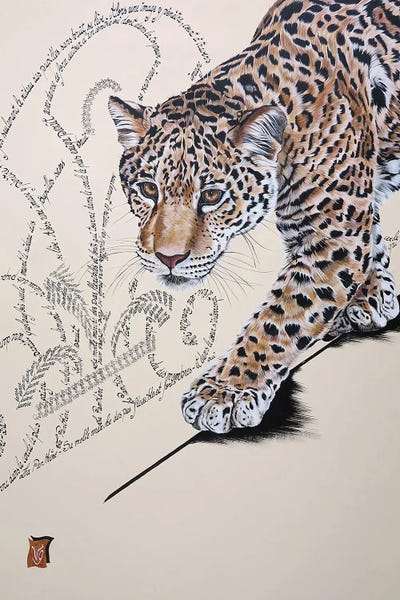 Leopards: Au Jardin Des Plantes (Leopard) by Valerie Glasson