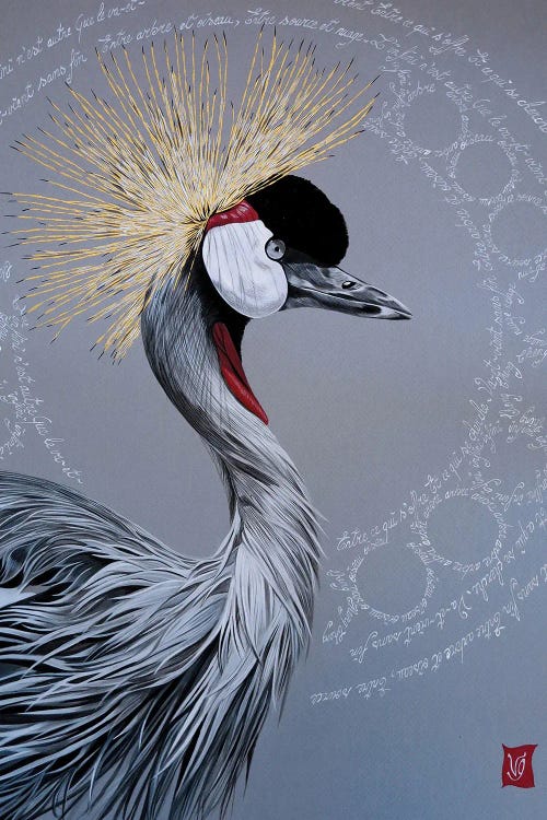 Between Source And Cloud (Crowned Crane)