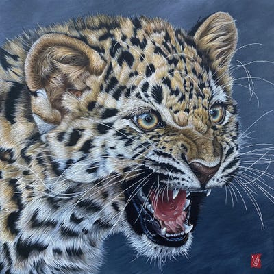 First Wrath (Amur Leopard Cub) by Valerie Glasson art print