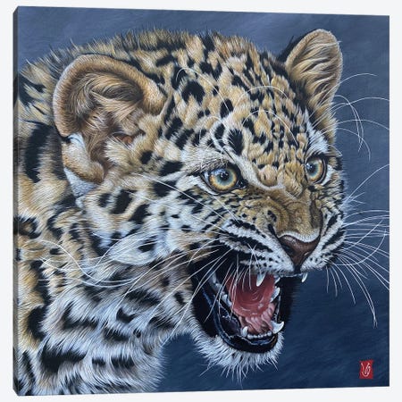 First Wrath (Amur Leopard Cub) Canvas Print #VGL9} by Valerie Glasson Canvas Print