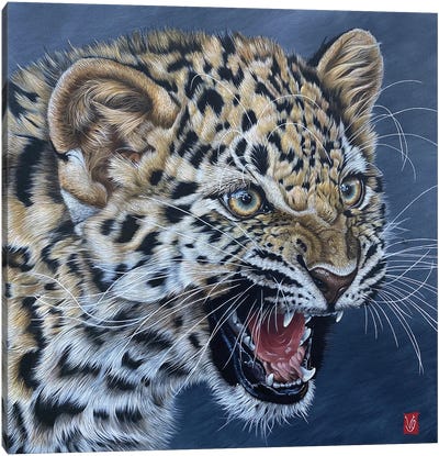 First Wrath (Amur Leopard Cub) Canvas Art Print - Valerie Glasson
