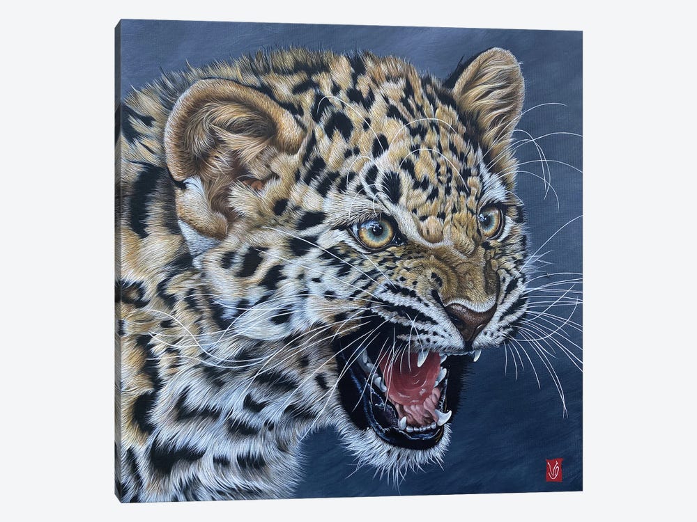 First Wrath (Amur Leopard Cub) by Valerie Glasson 1-piece Canvas Print