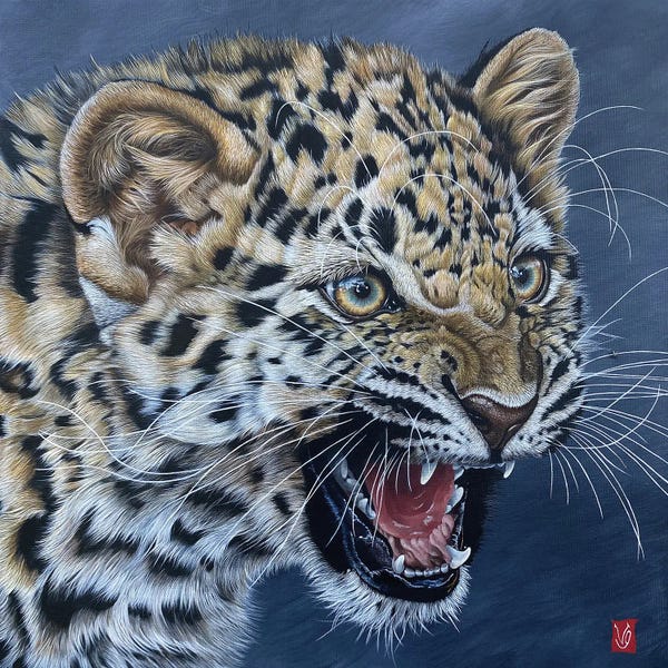 Leopards: First Wrath (Amur Leopard Cub) by Valerie Glasson