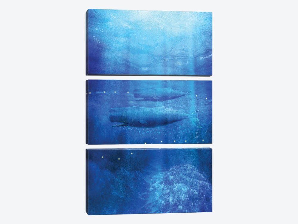 Save The Whales by Viviana Gonzalez 3-piece Canvas Wall Art