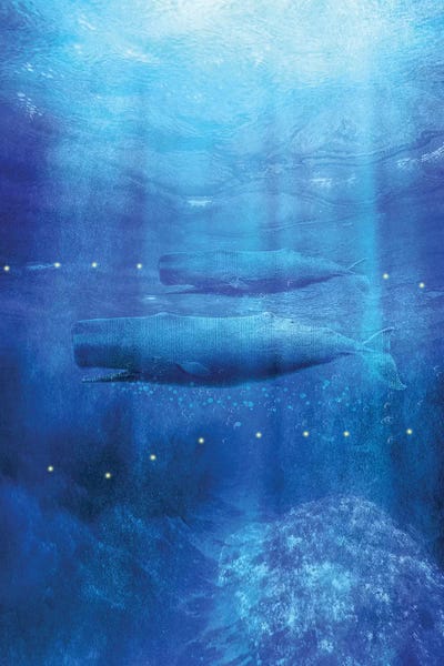 Viviana Gonzalez: Save The Whales by Viviana Gonzalez
