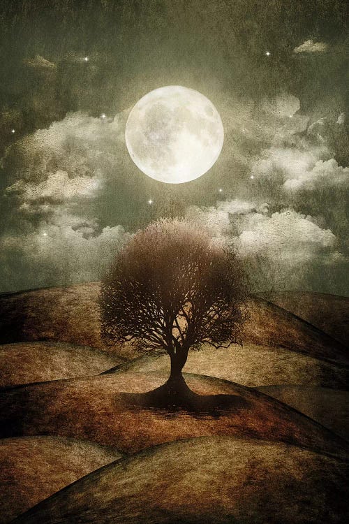 Once Upon A Time... The Lone Tree by Viviana Gonzalez wall art