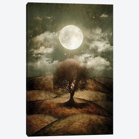 Once Upon A Time... The Lone Tree Canvas Print #VGO10} by Viviana Gonzalez Canvas Wall Art