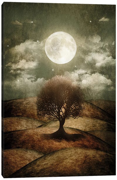 Once Upon A Time... The Lone Tree Canvas Art Print - Full Moon Art