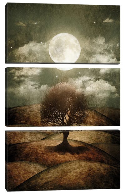 Once Upon A Time... The Lone Tree Canvas Art Print - 3-Piece Astronomy & Space Art