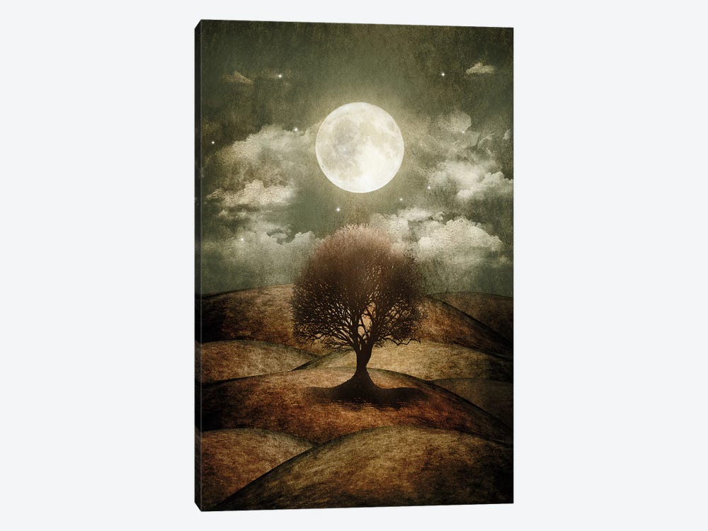 Once Upon A Time... The Lone Tree by Viviana Gonzalez 1-piece Canvas Artwork