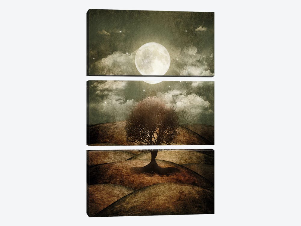 Once Upon A Time... The Lone Tree by Viviana Gonzalez 3-piece Canvas Wall Art