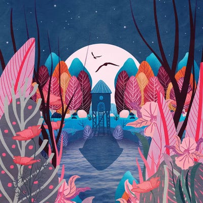 Mystery Garden by Viviana Gonzalez framed canvas print