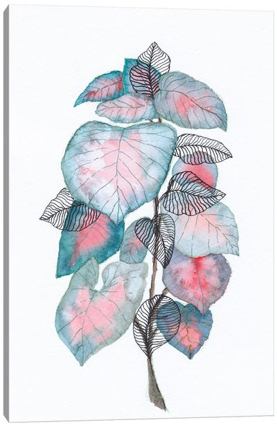 Watercolor + Ink Leaves V Canvas Art Print - Viviana Gonzalez