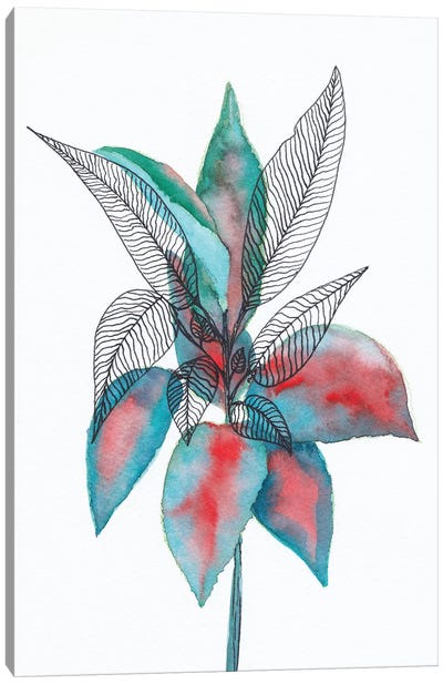 Watercolor + Ink Leaves Vi Canvas Art Print - Viviana Gonzalez