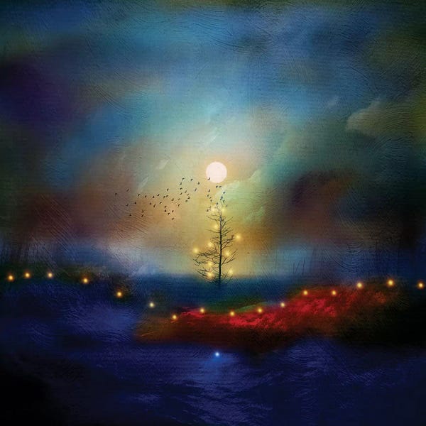 Night Sky: A Beautiful Christmas by Viviana Gonzalez