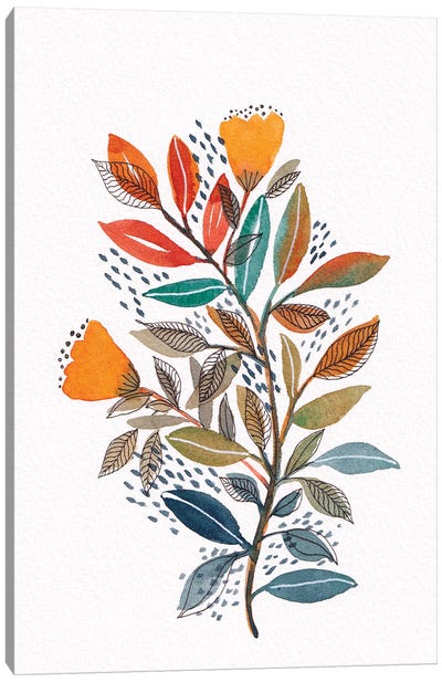 Modern Watercolor Botanicals II Canvas Art Print - Viviana Gonzalez