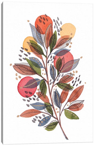 Modern Watercolor Botanicals III Canvas Art Print - Viviana Gonzalez