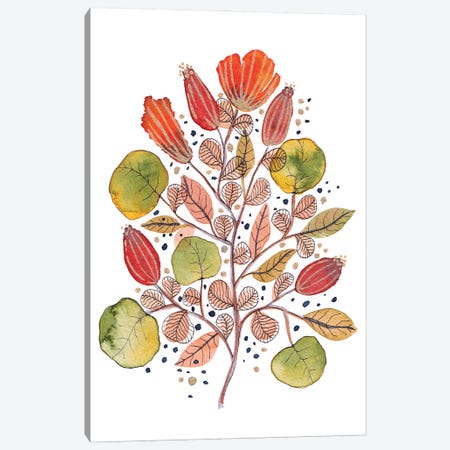 Modern Watercolor Botanicals V Canvas Print #VGO178} by Viviana Gonzalez Canvas Print