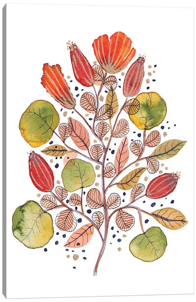 Modern Watercolor Botanicals V Canvas Art Print - Viviana Gonzalez
