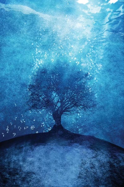 Viviana Gonzalez: Songs From The Sea by Viviana Gonzalez