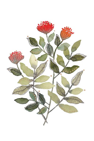 Organic Watercolor Botanicals III by Viviana Gonzalez framed canvas print