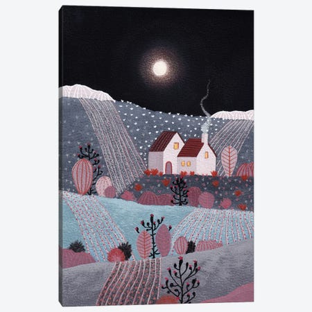 Midnight Landscape V Canvas Print #VGO203} by Viviana Gonzalez Canvas Print