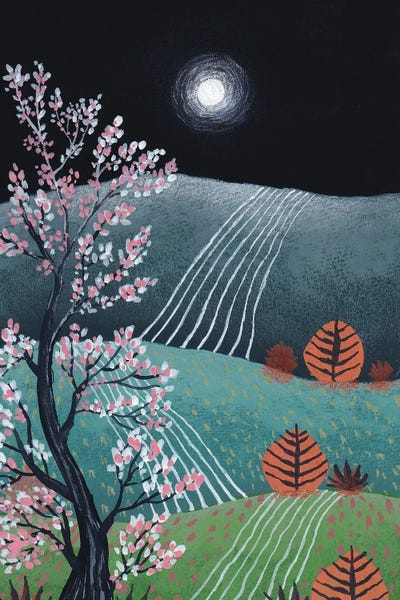 Midnight Landscape VI by Viviana Gonzalez framed wall art