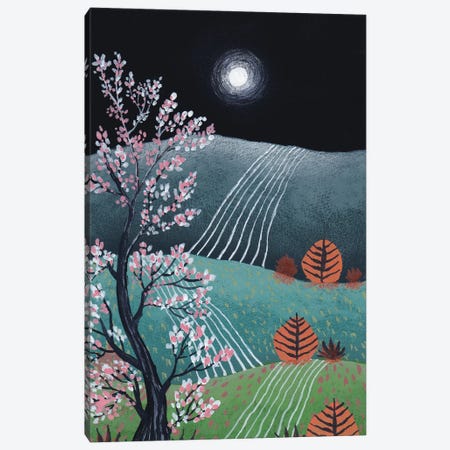 Midnight Landscape VI Canvas Print #VGO204} by Viviana Gonzalez Canvas Wall Art