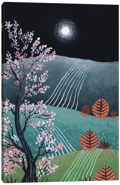 Midnight Landscape VI Canvas Art Print - Viviana Gonzalez