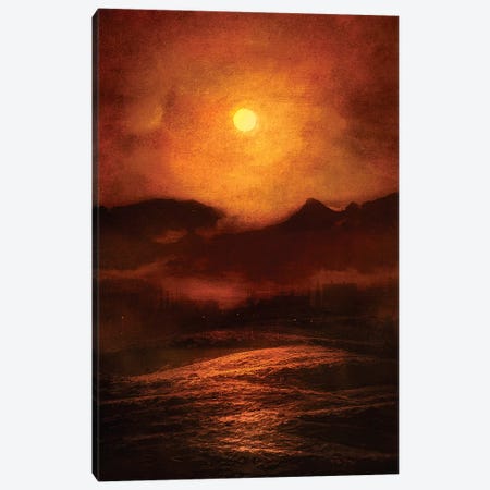 Sunset Canvas Print #VGO20} by Viviana Gonzalez Canvas Print