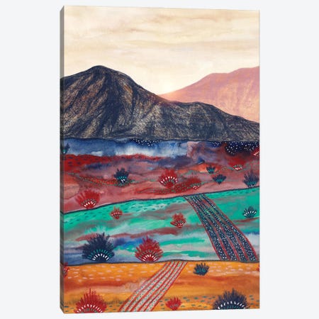 Boho Hills In The Sunset Canvas Print #VGO215} by Viviana Gonzalez Canvas Art Print