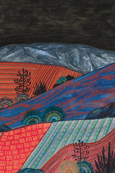 Midnight Boho Landscape by Viviana Gonzalez canvas print