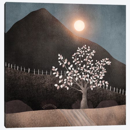 Lone Tree And Full Moon Canvas Print #VGO222} by Viviana Gonzalez Art Print