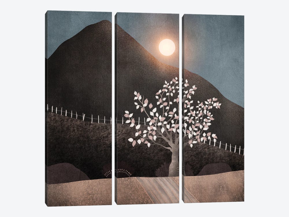 Lone Tree And Full Moon by Viviana Gonzalez 3-piece Art Print
