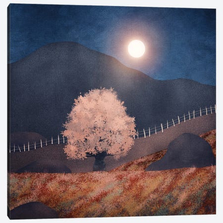 Lone Tree And Full Moon II Canvas Print #VGO223} by Viviana Gonzalez Canvas Art Print