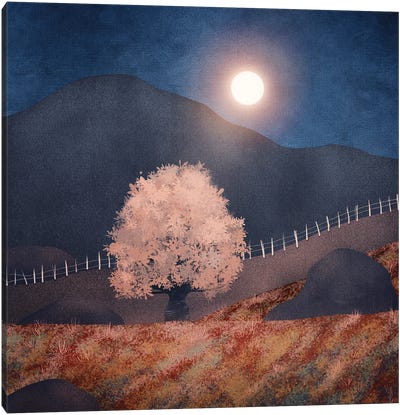 Lone Tree And Full Moon II Canvas Art Print - Viviana Gonzalez