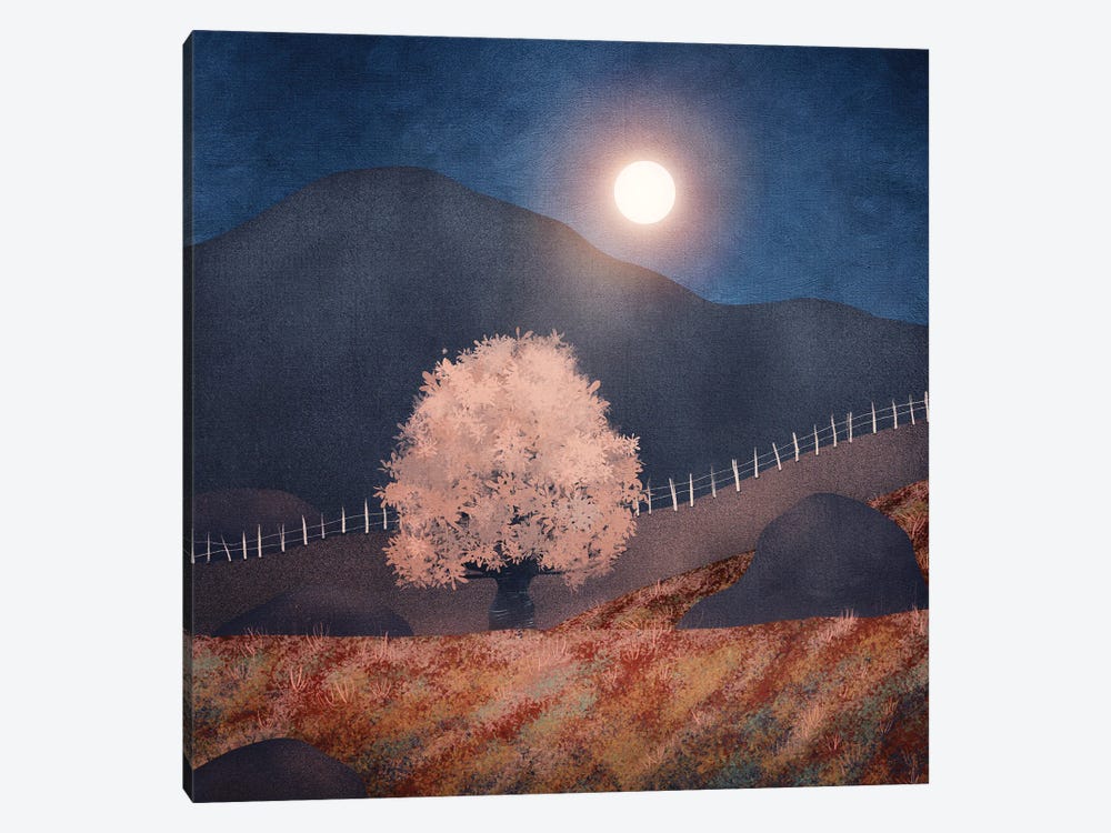 Lone Tree And Full Moon II by Viviana Gonzalez 1-piece Canvas Wall Art