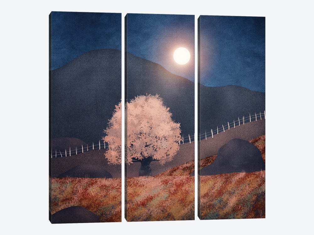 Lone Tree And Full Moon II by Viviana Gonzalez 3-piece Canvas Artwork