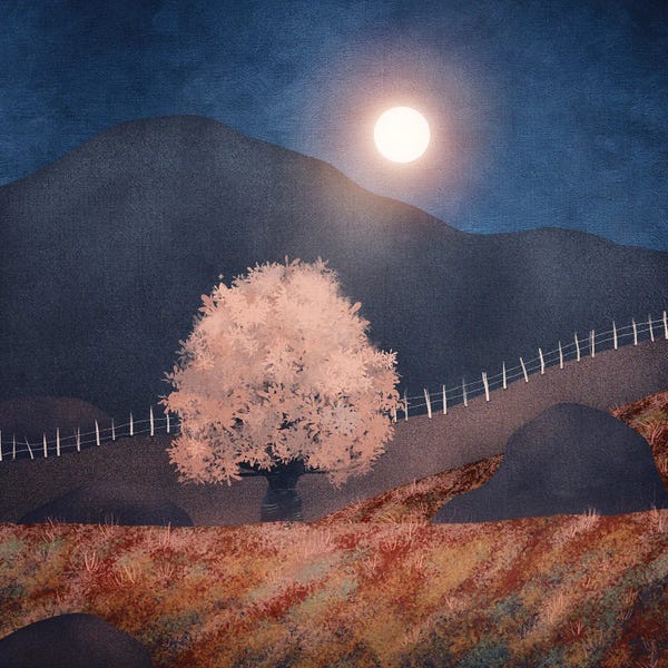 Night Sky: Lone Tree And Full Moon II by Viviana Gonzalez