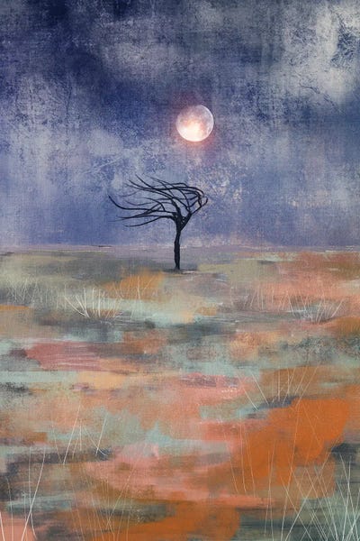 Moon And The Tree by Viviana Gonzalez canvas print