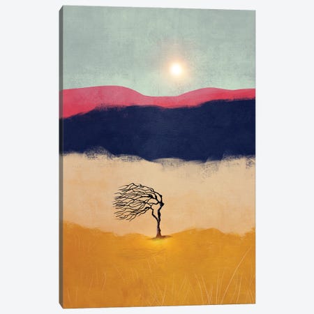Sunset And The Tree Canvas Print #VGO238} by Viviana Gonzalez Canvas Art