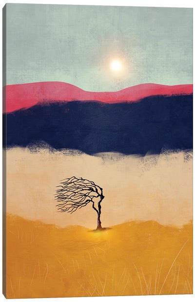 Sunset And The Tree Canvas Art Print