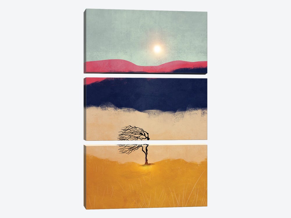 Sunset And The Tree by Viviana Gonzalez 3-piece Canvas Artwork
